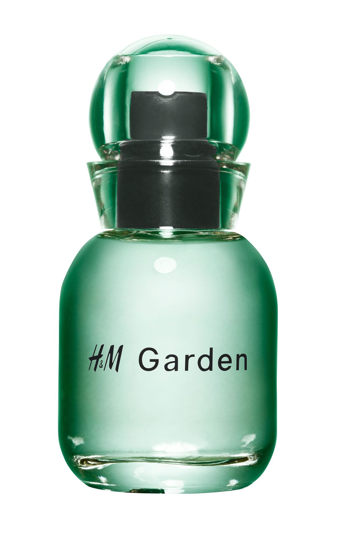 H&M Garden - Sunlit dew