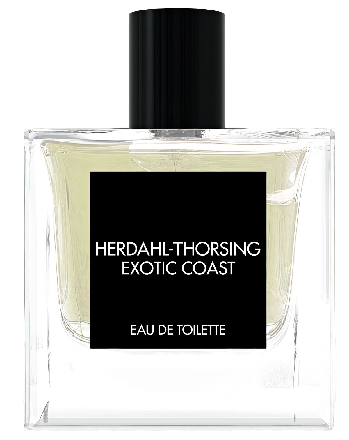 Exotic Coast
