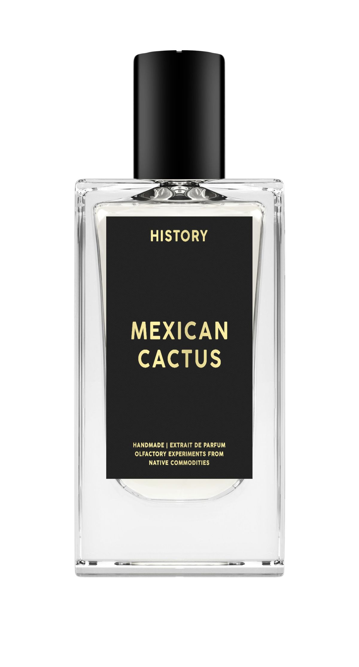 Mexican Cactus