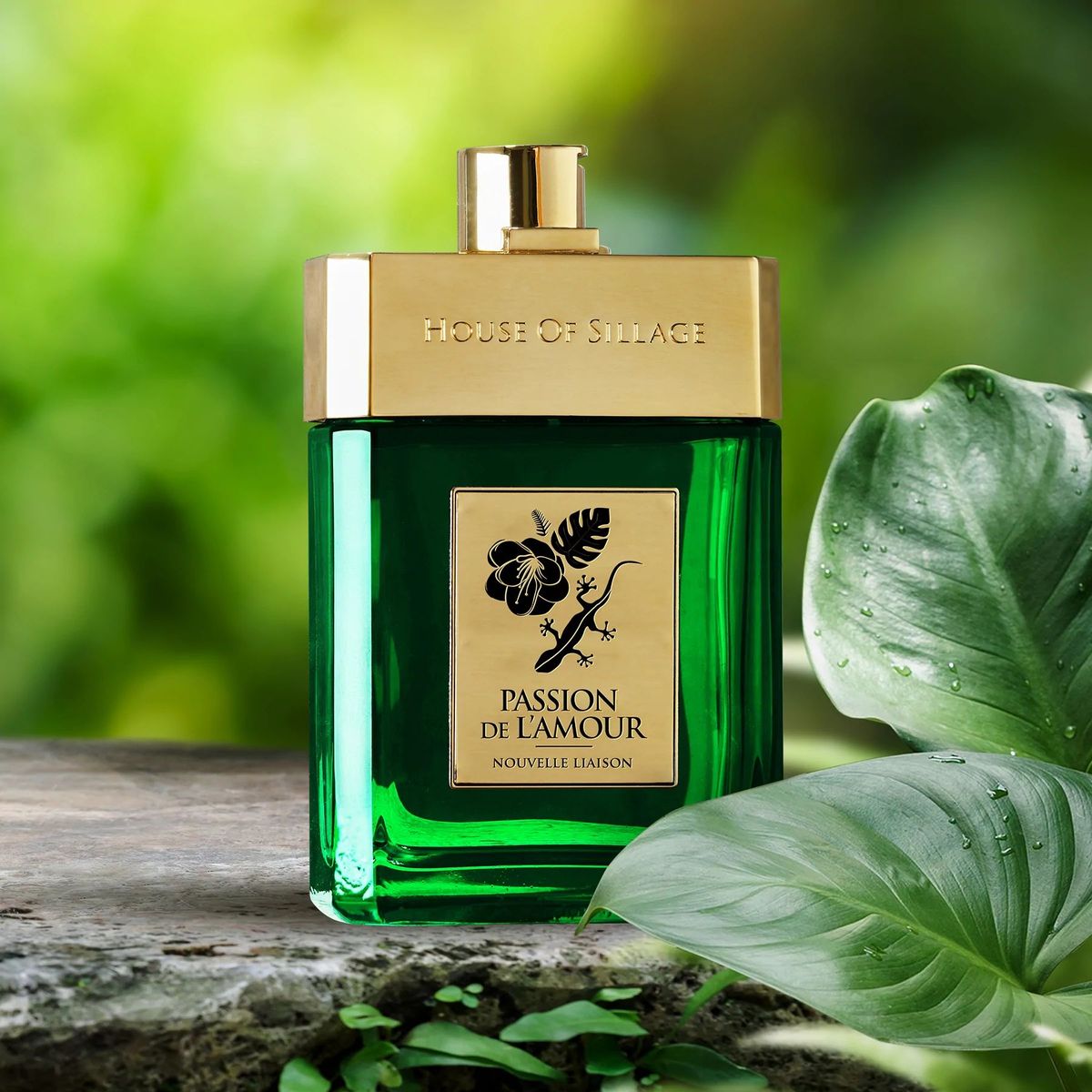Passion De L'Amour Nouvelle Liaison Parfum