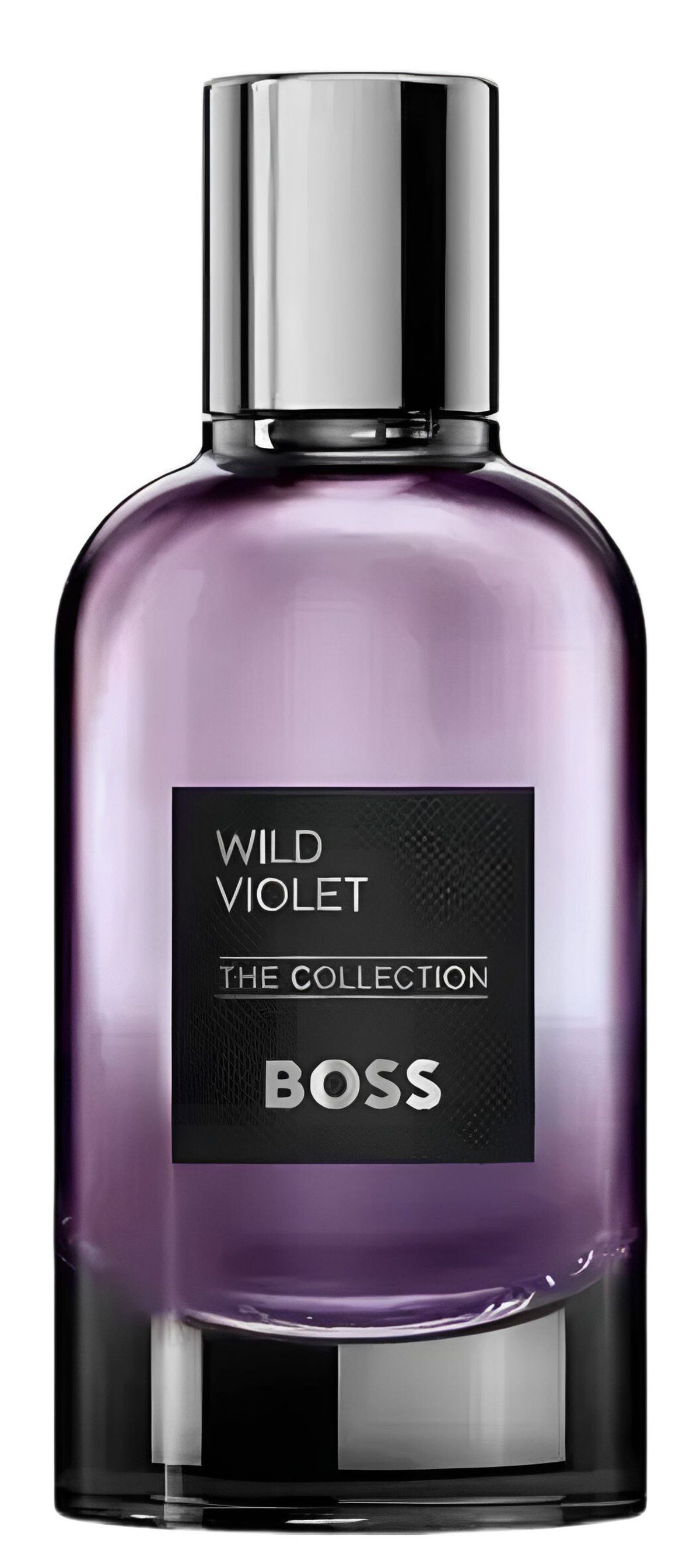 The Collection Wild Violet