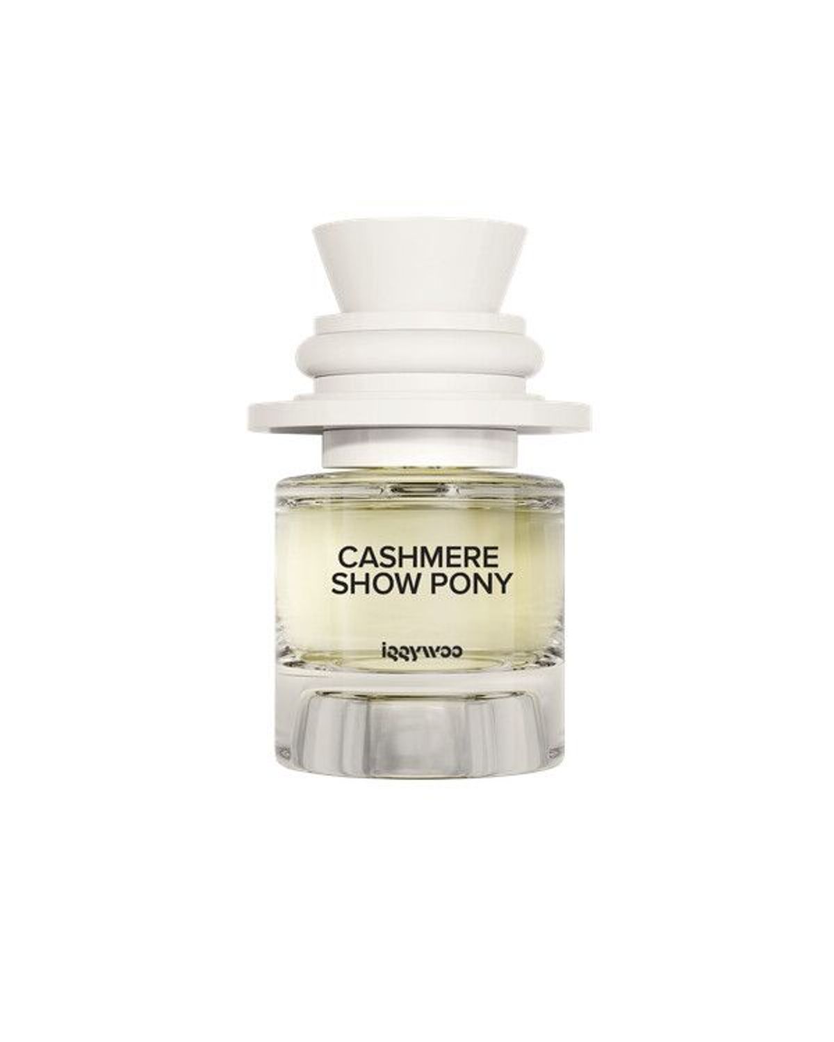 Cashmere Show Pony
