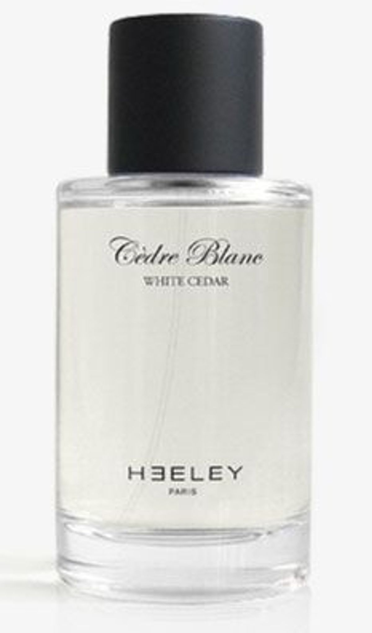 Cedre Blanc