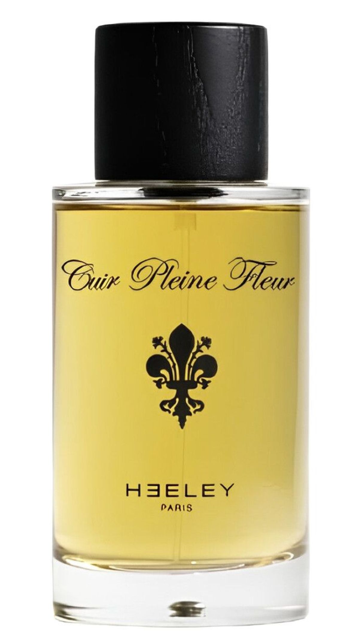 Cuir Pleine Fleur