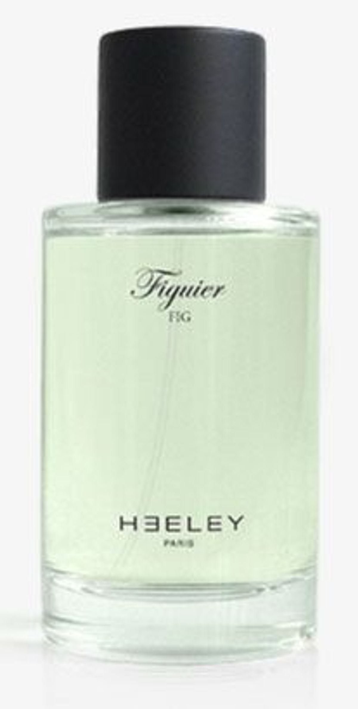 Figuier