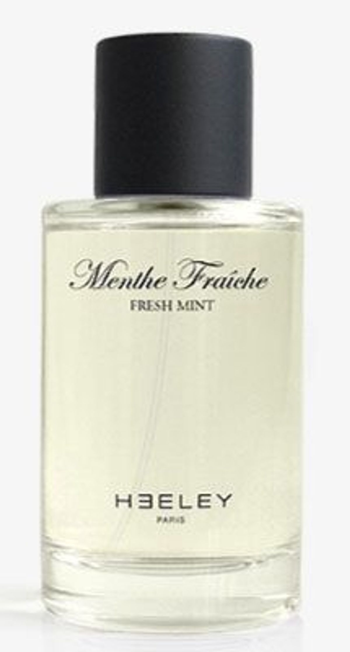 Menthe Fraiche