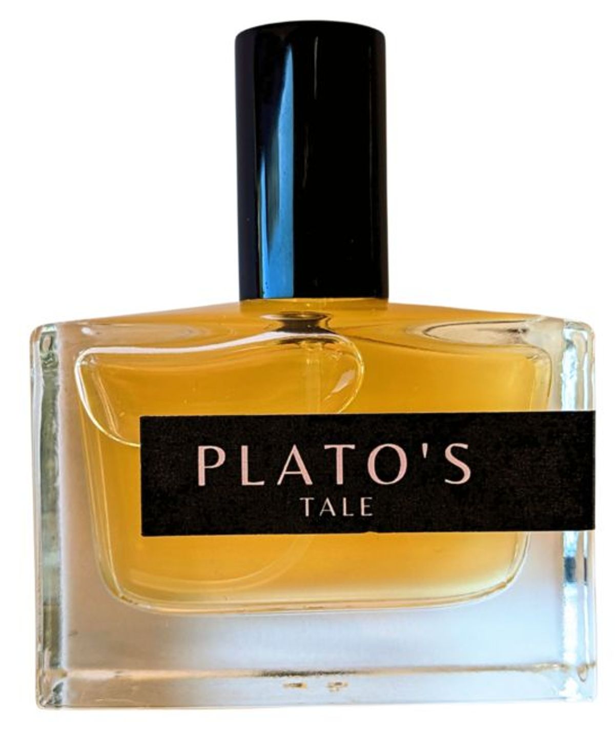 Plato's Tale