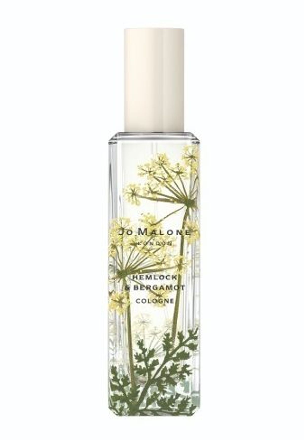 Hemlock & Bergamot