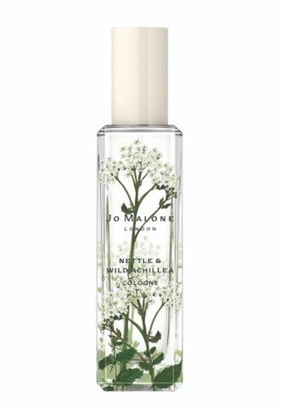 Nettle & Wild Achillea