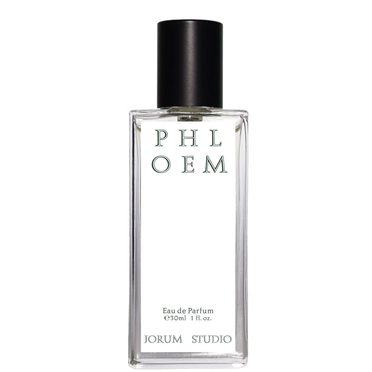 Phloem