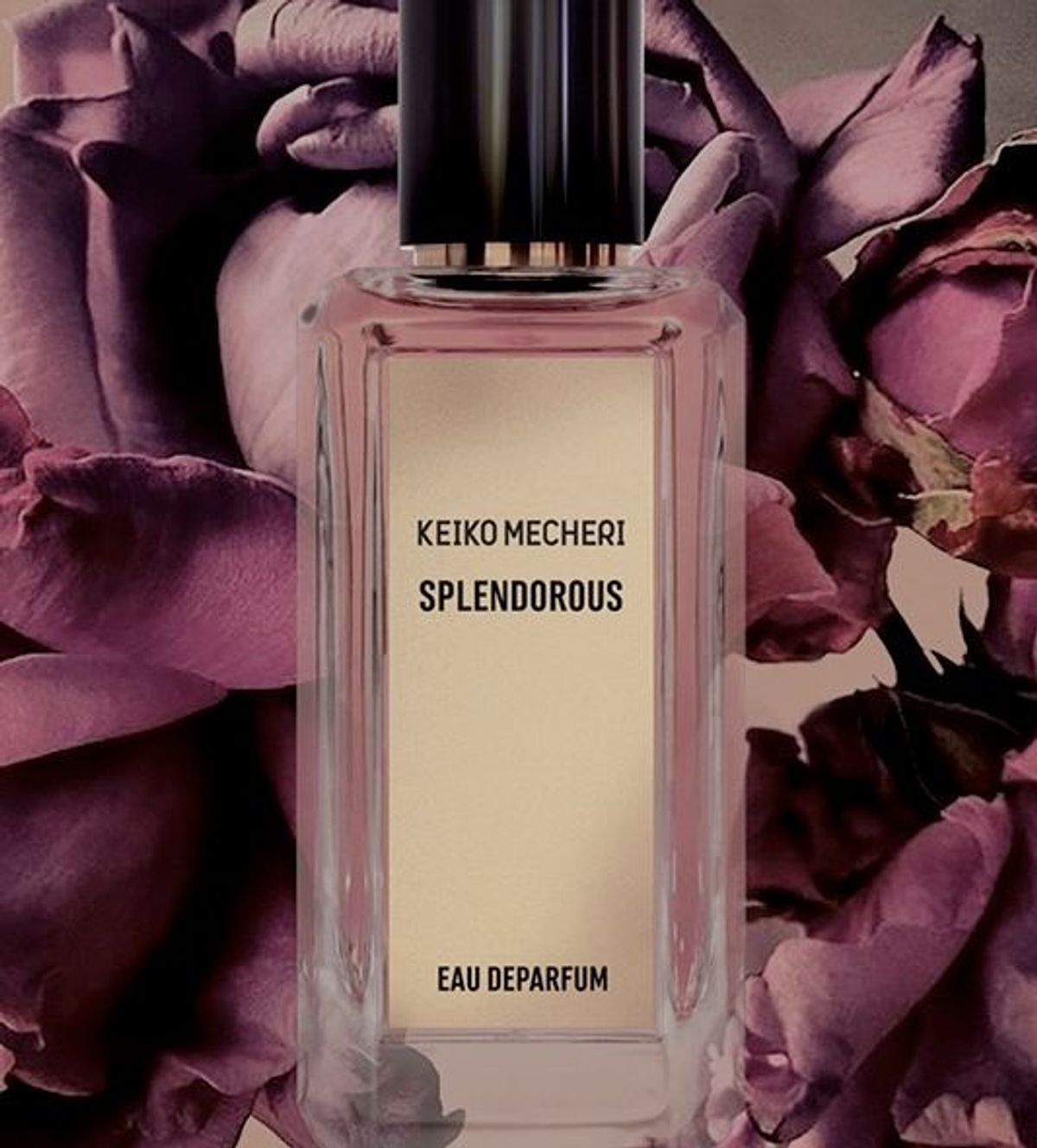 Splendorous