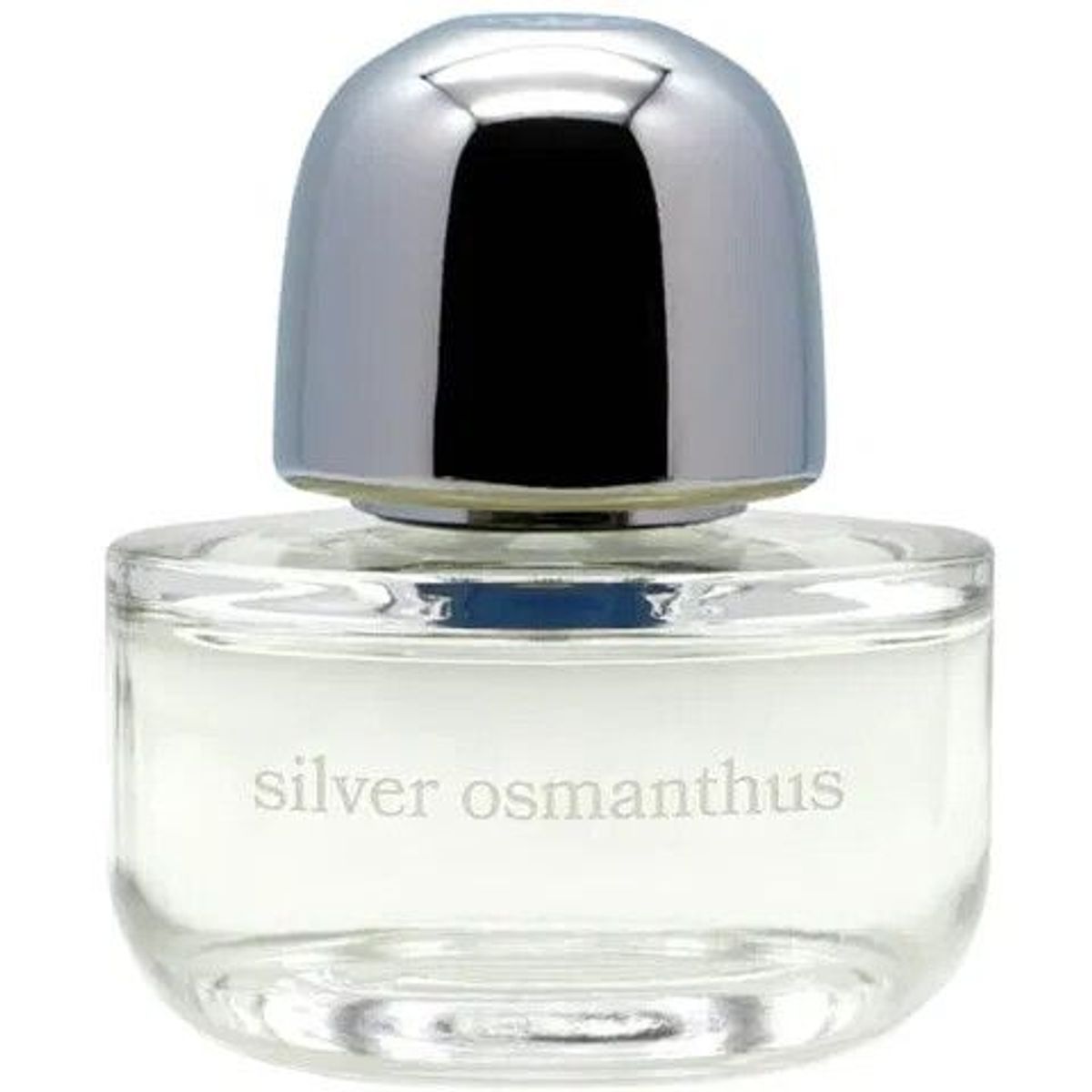 Silver Osmanthus