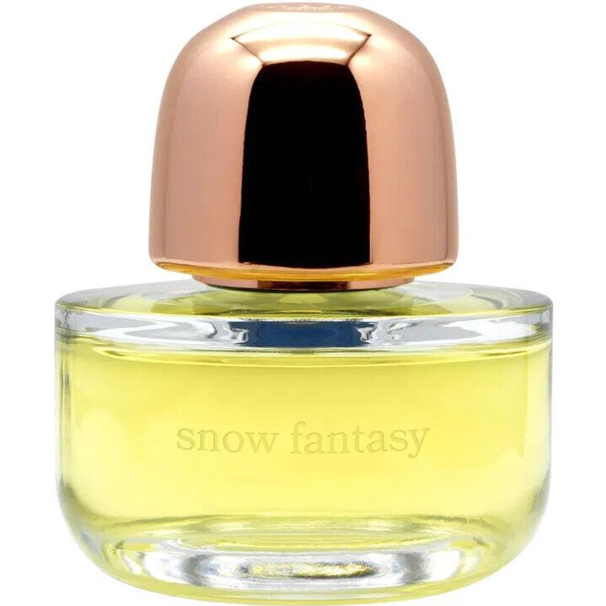 Snow Fantasy