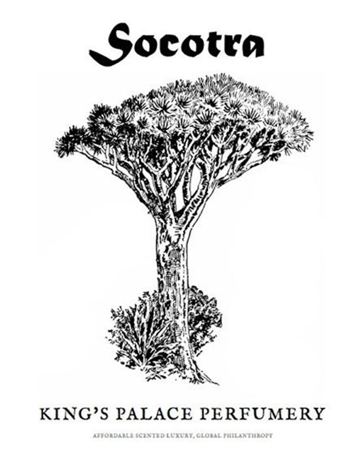 Socotra