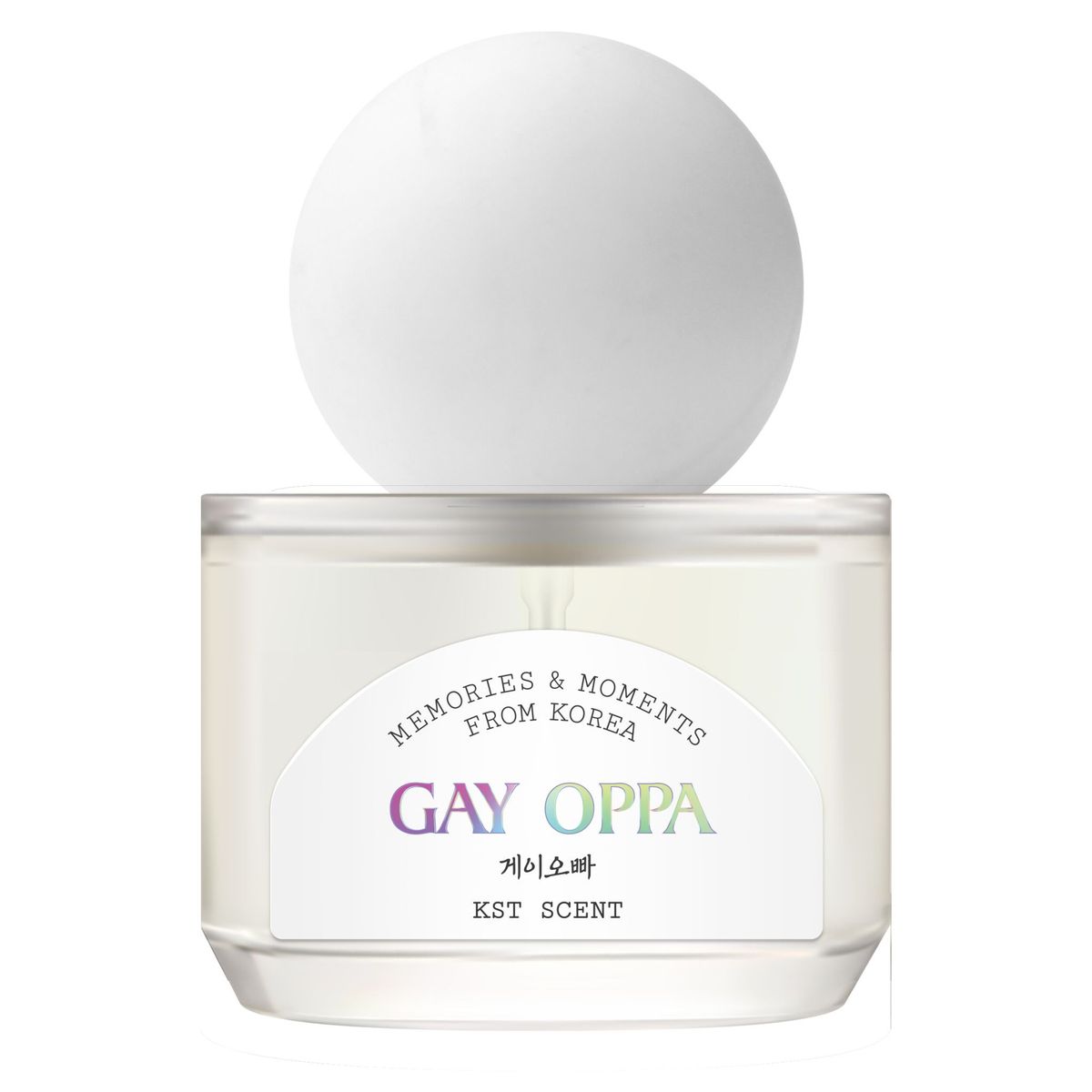 Gay Oppa