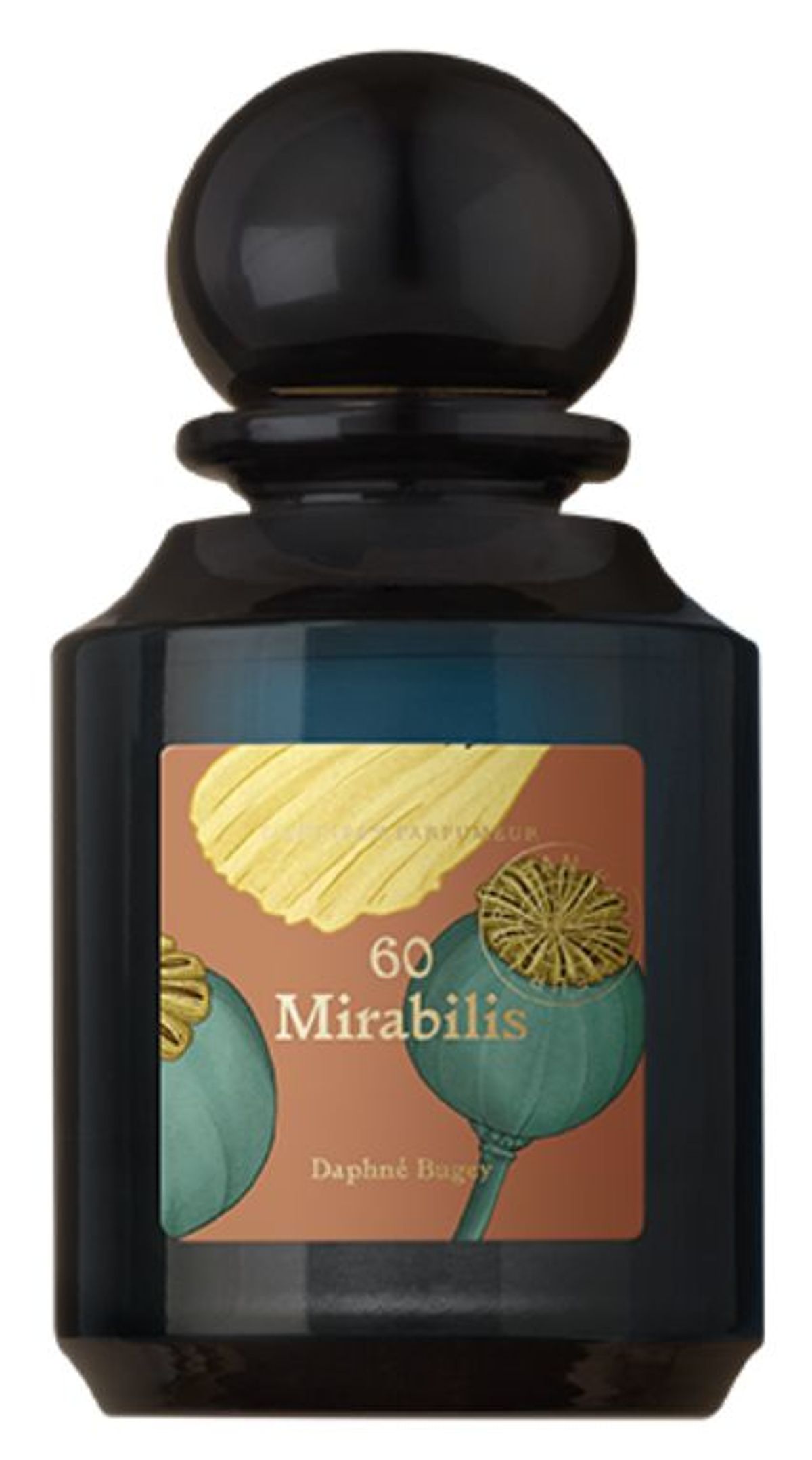 Mirabilis 60