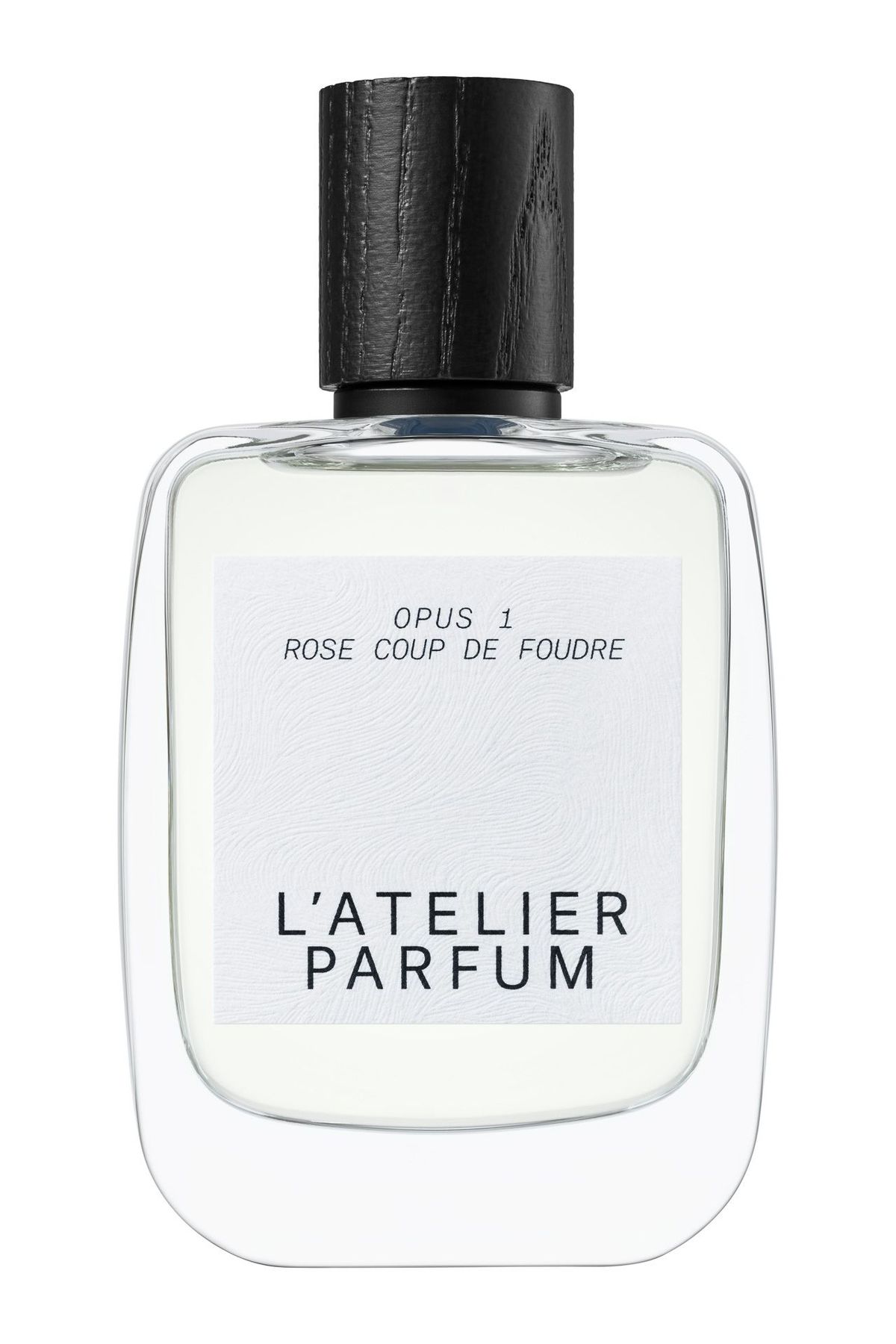 Rose Coup De Foudre