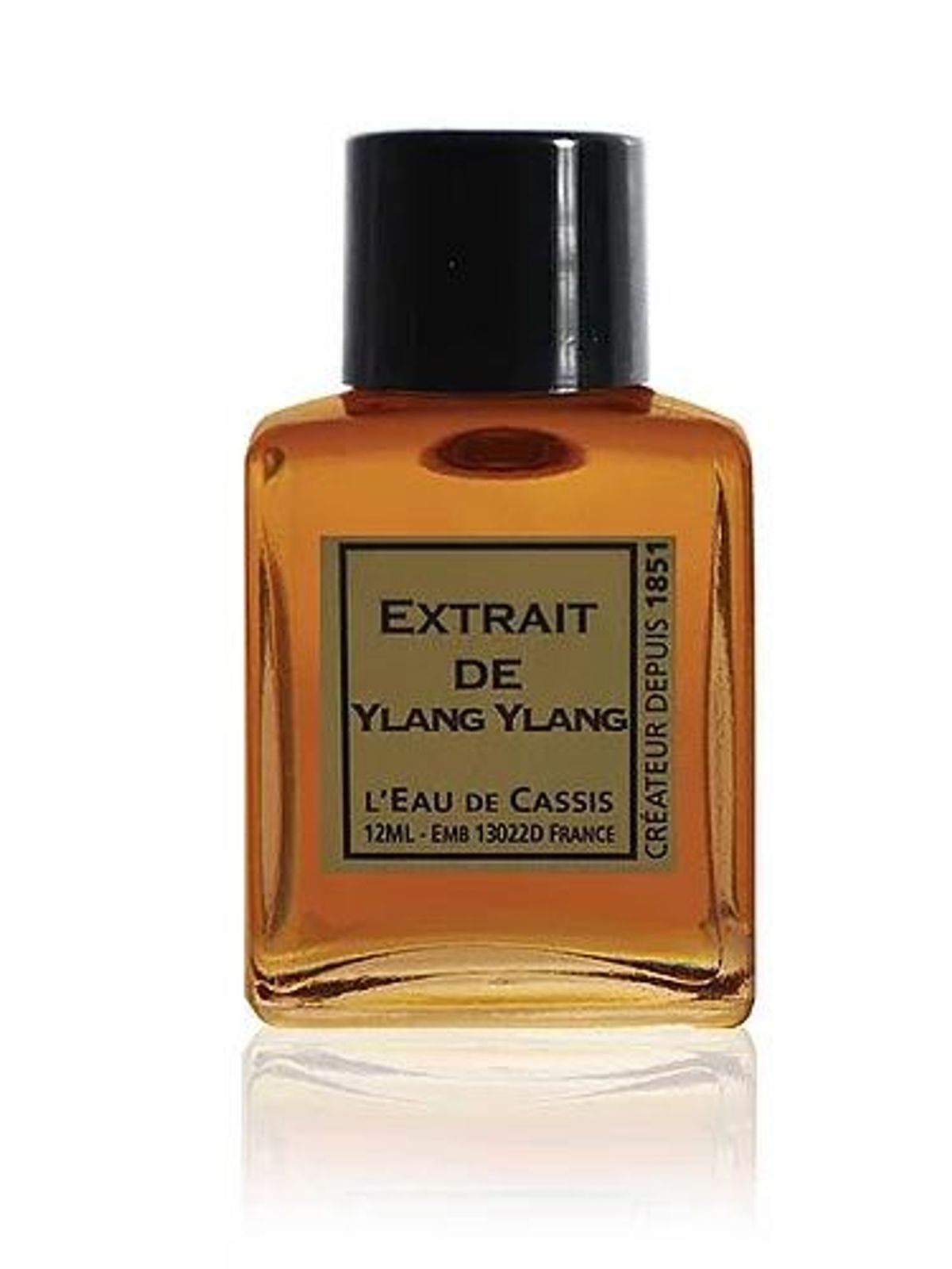 Ylang Ylang