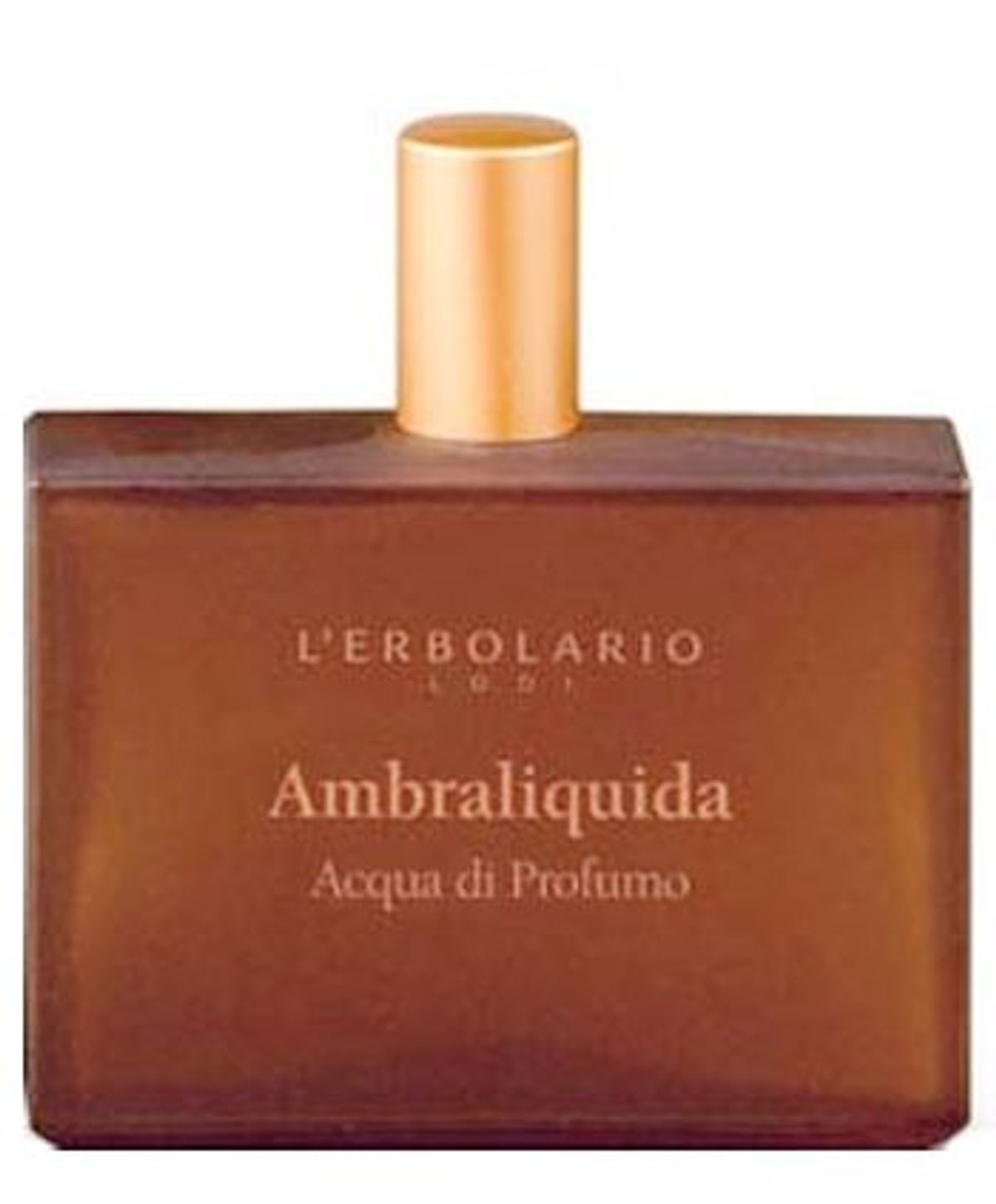 Ambraliquida