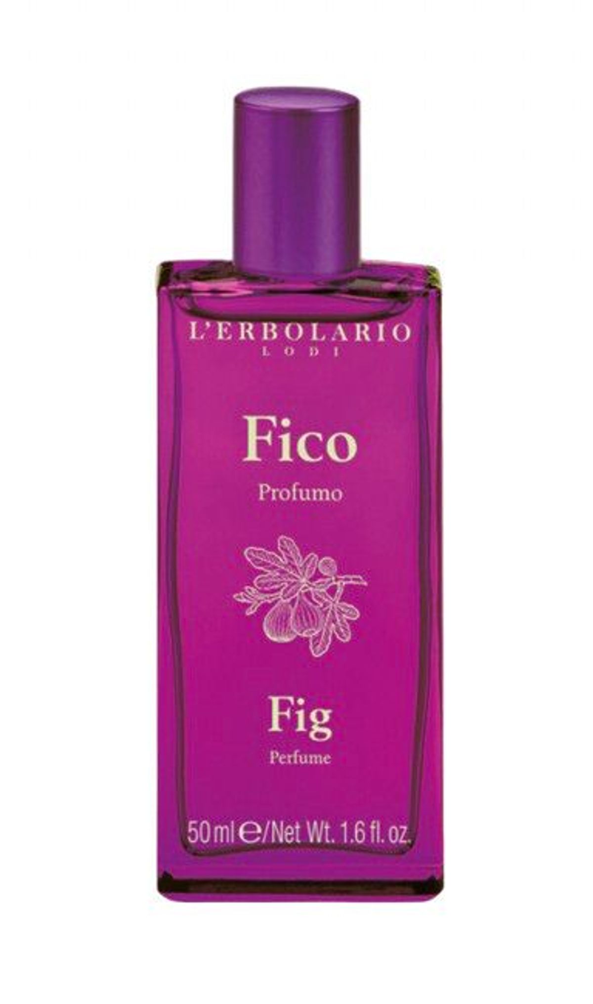 Fico / Fig