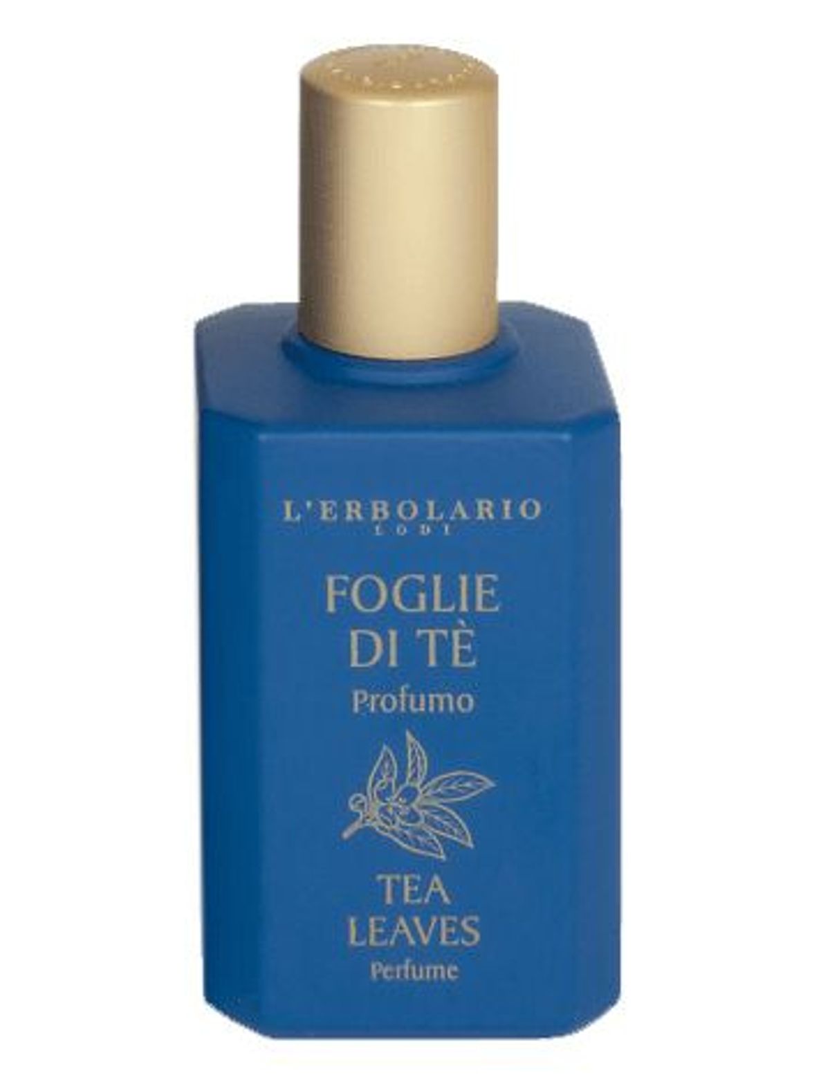 Foglie di Tè