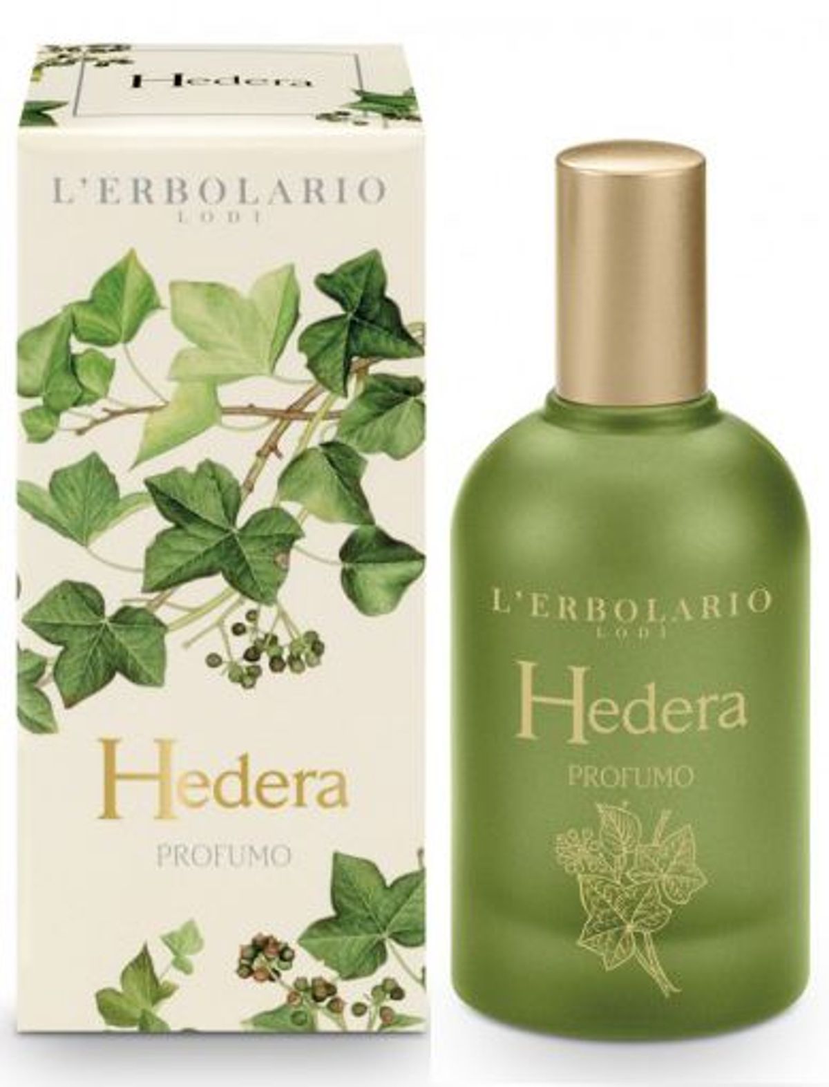 Hedera