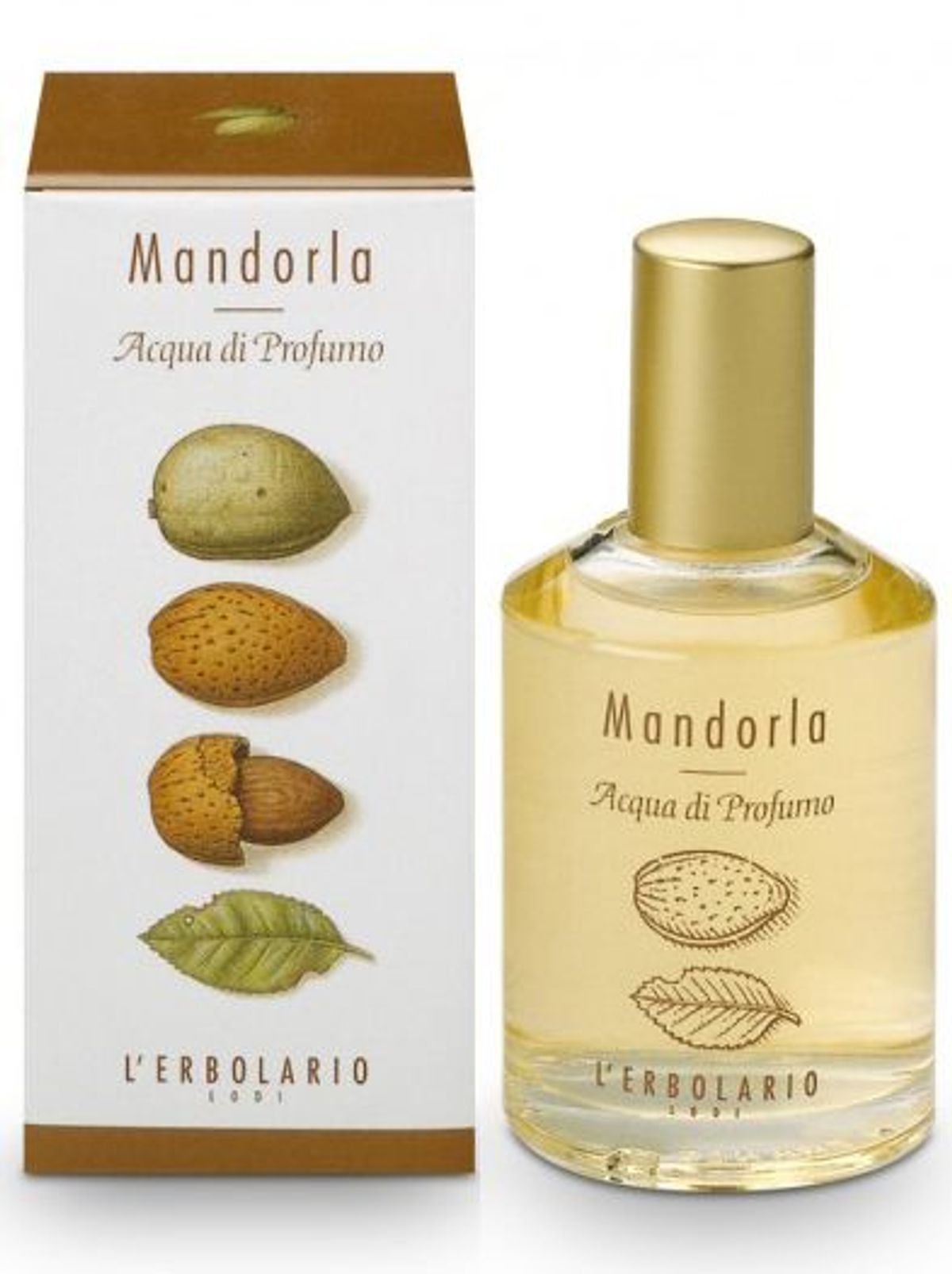 Mandorla
