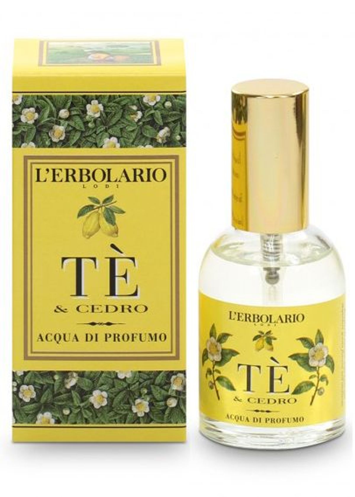 Tè & Cedro