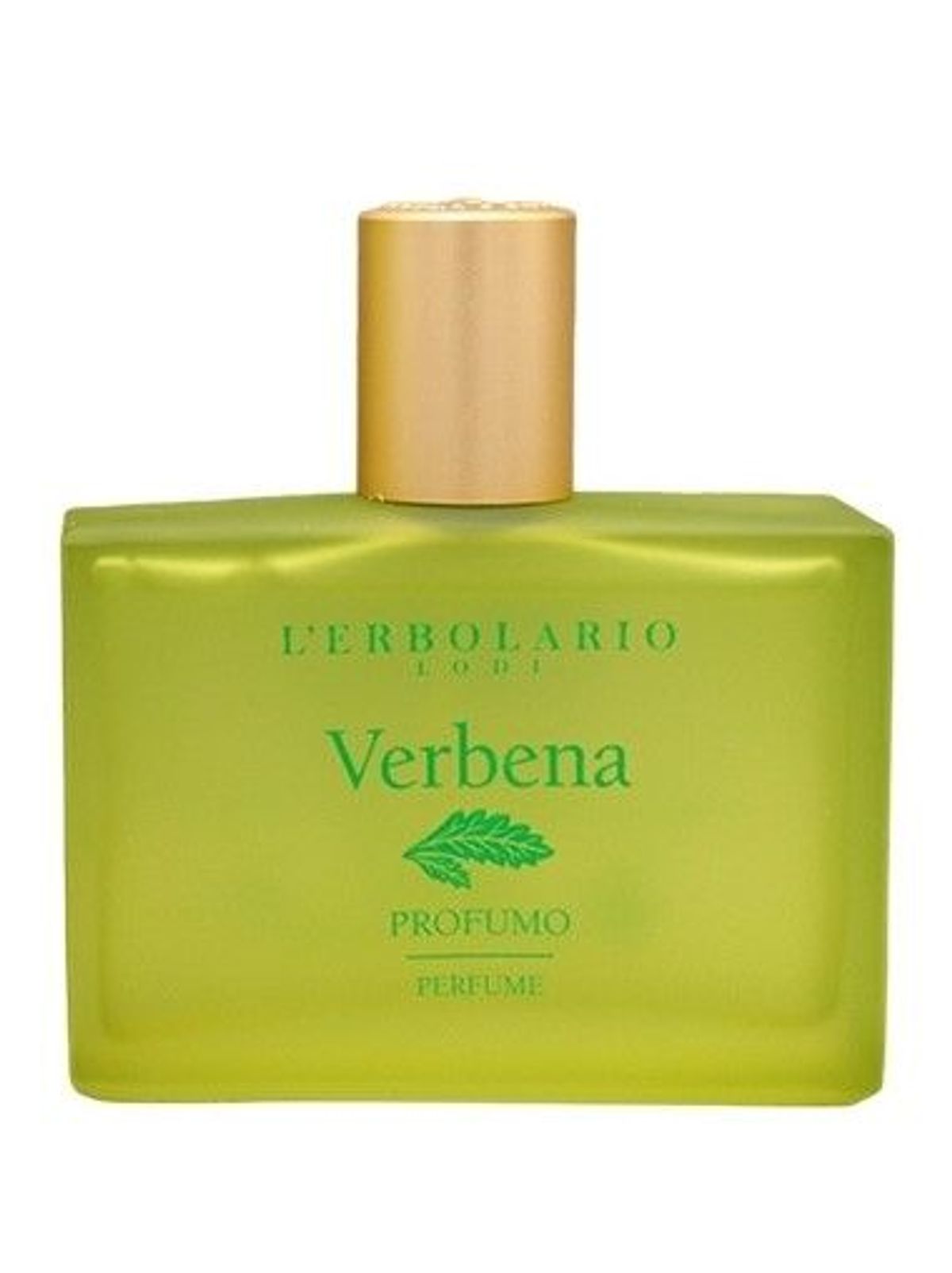 Verbena