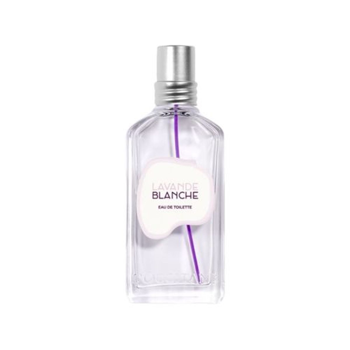 Lavande Blanche