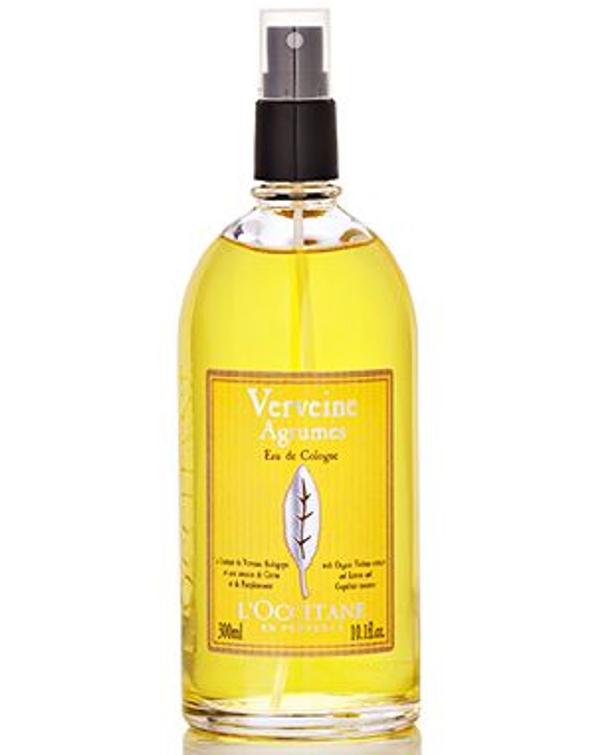 Verbena Cítrica
