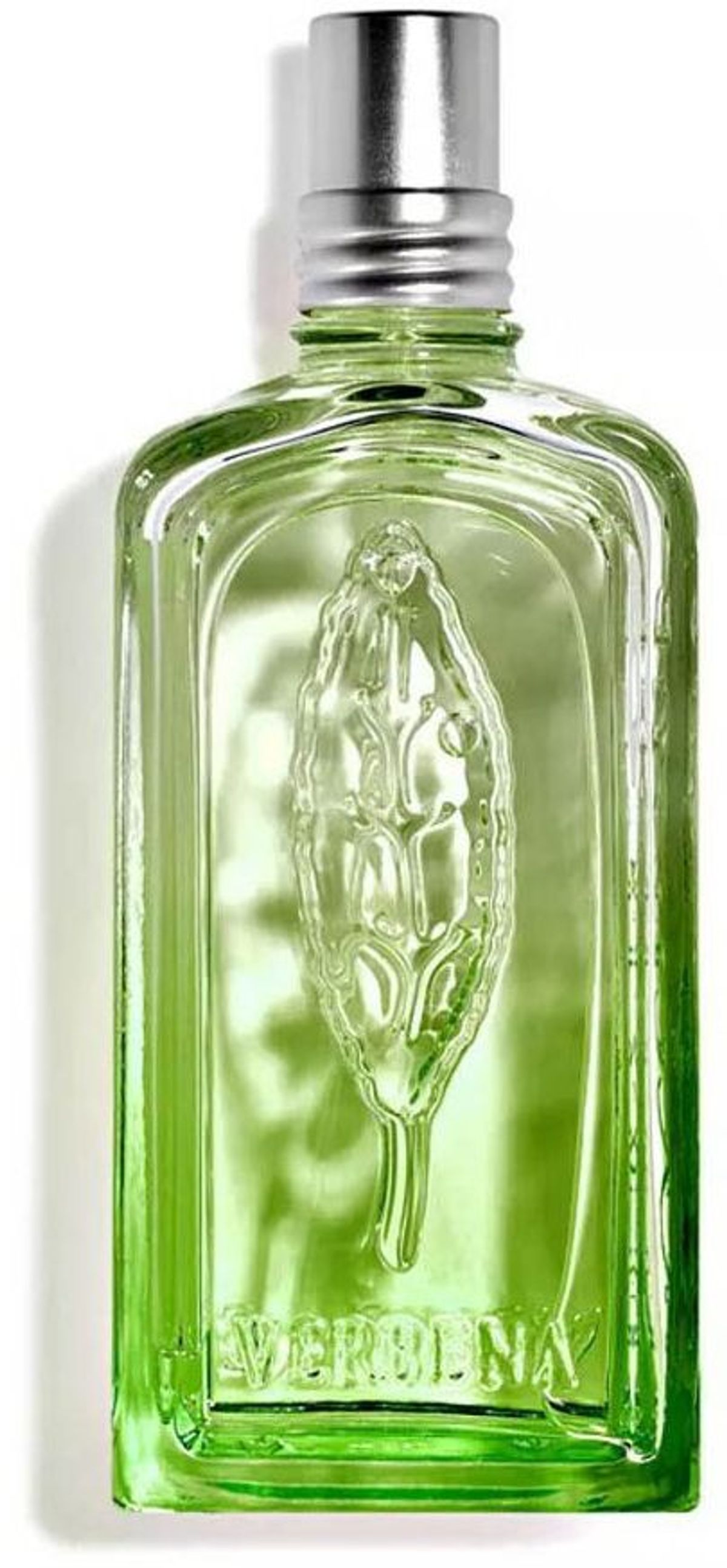 Verveine Cactus