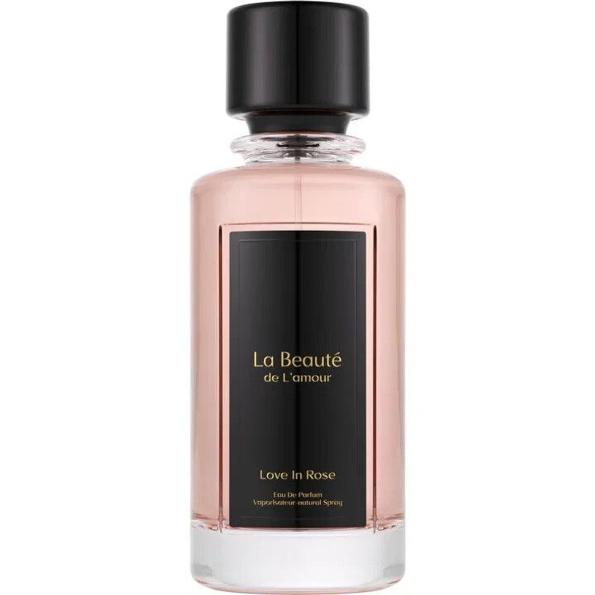 Love in Rose