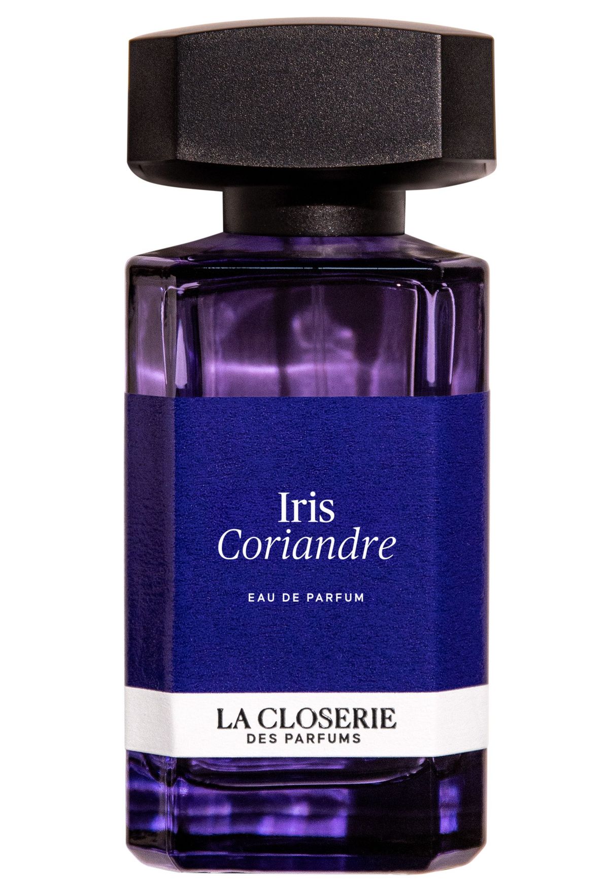 Iris Coriandre