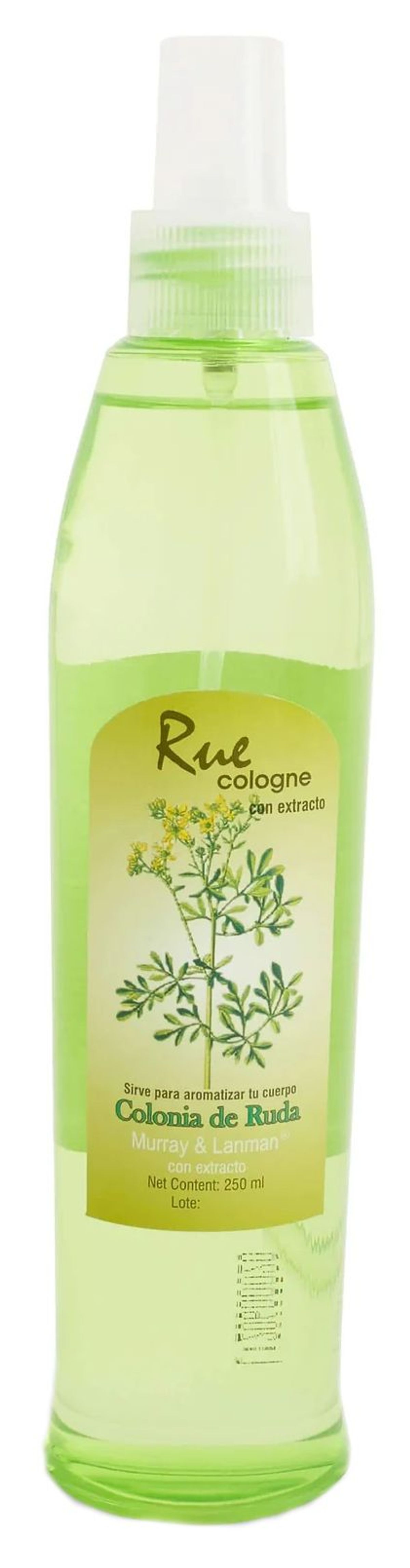Rue Cologne