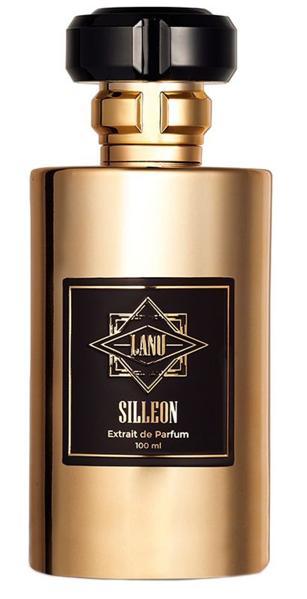 Silleon