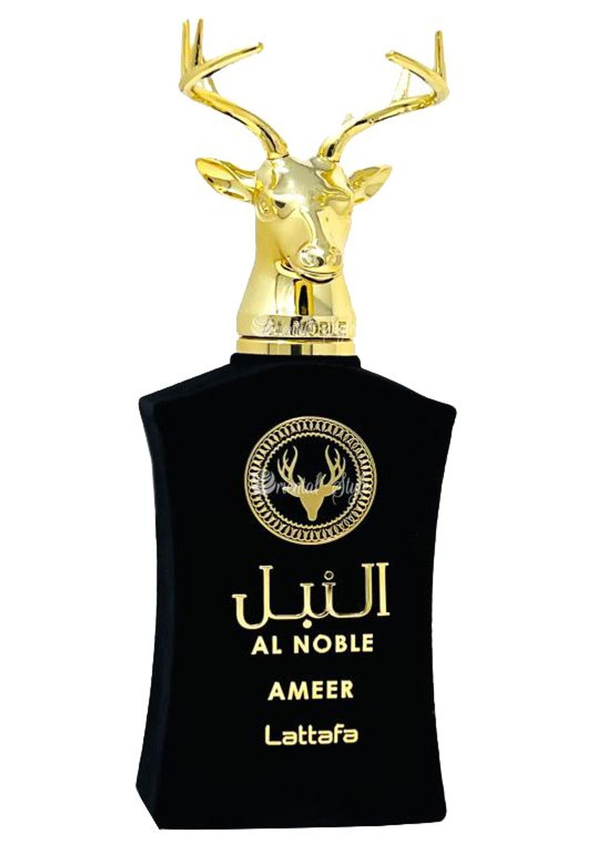 Ameer