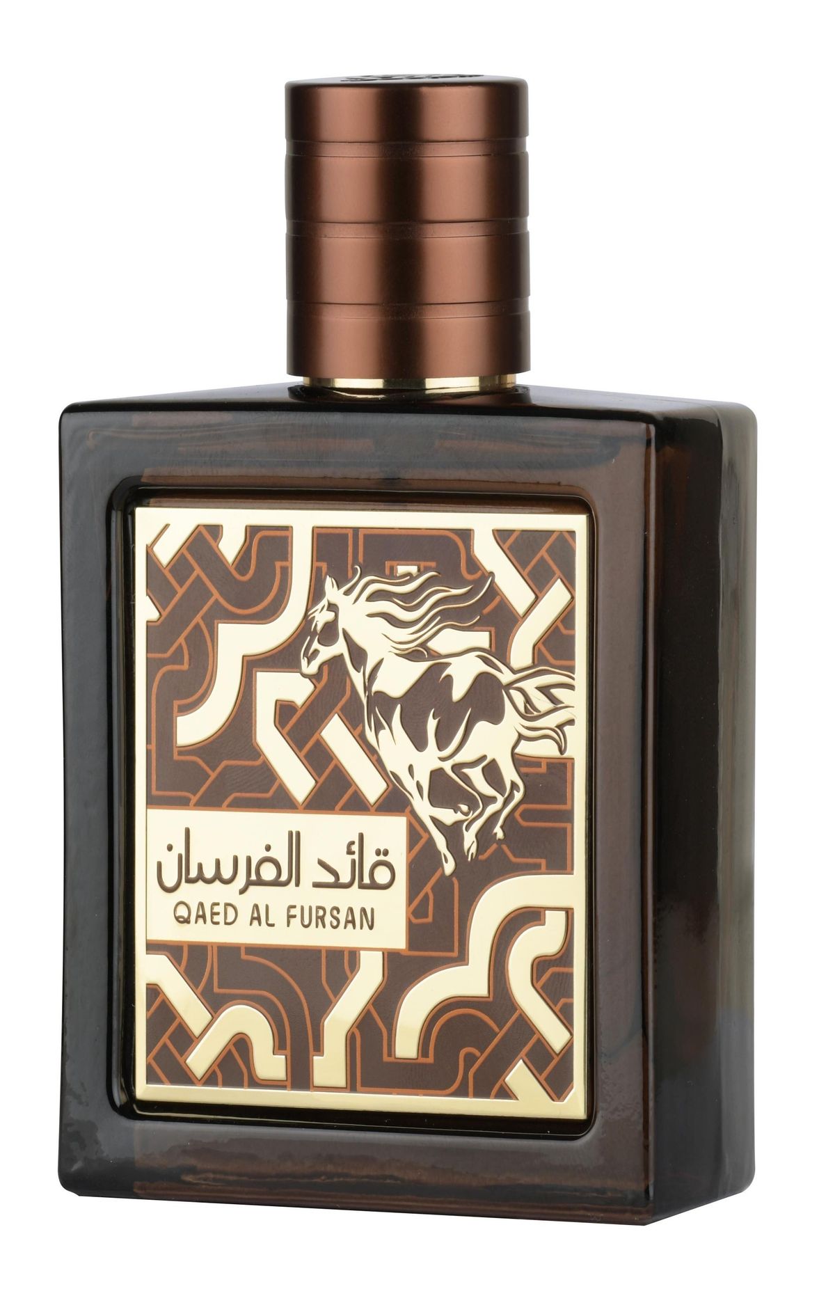 Qaed Al Fursan Untamed