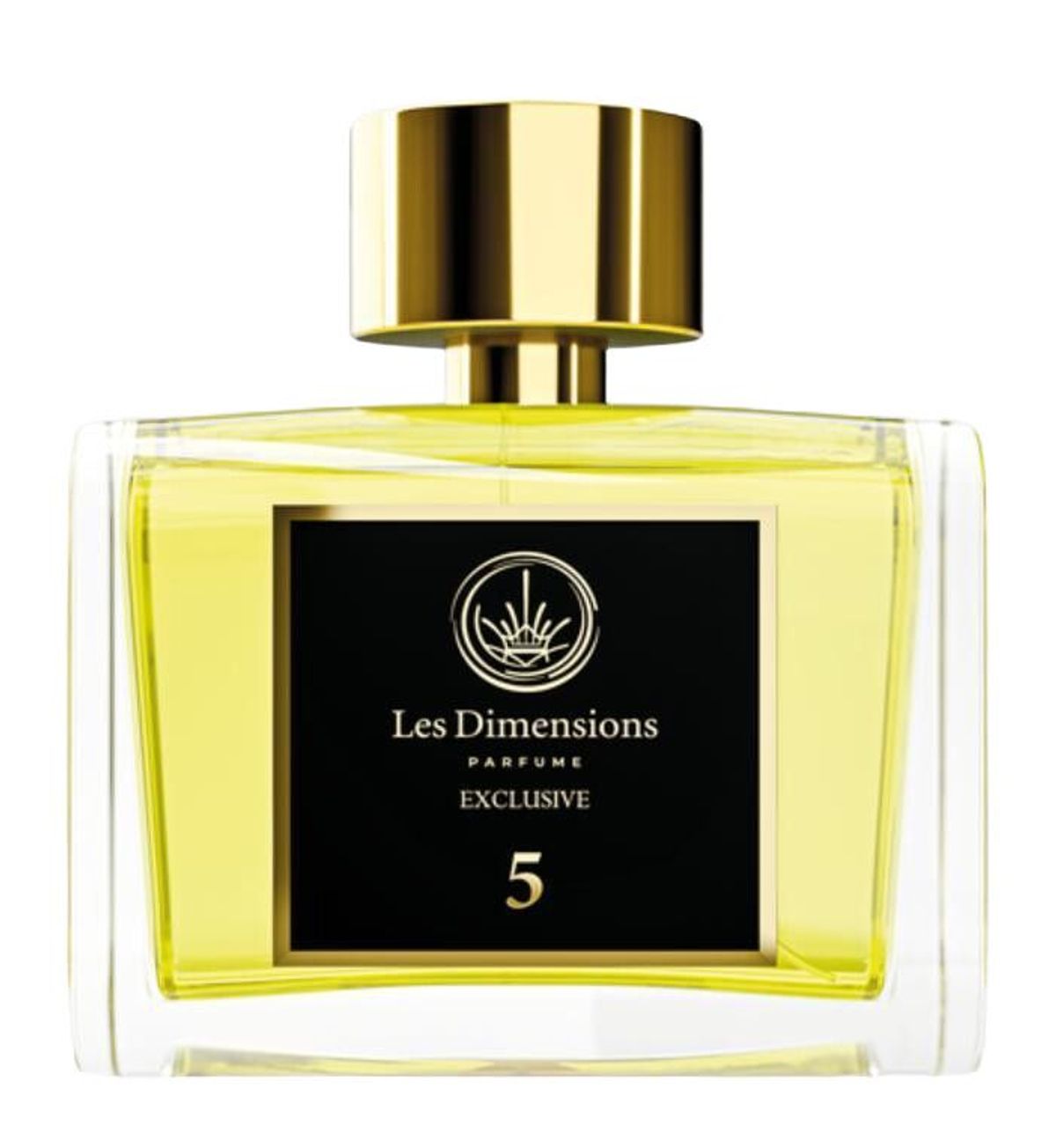 Dimension 5 - Sans frontières