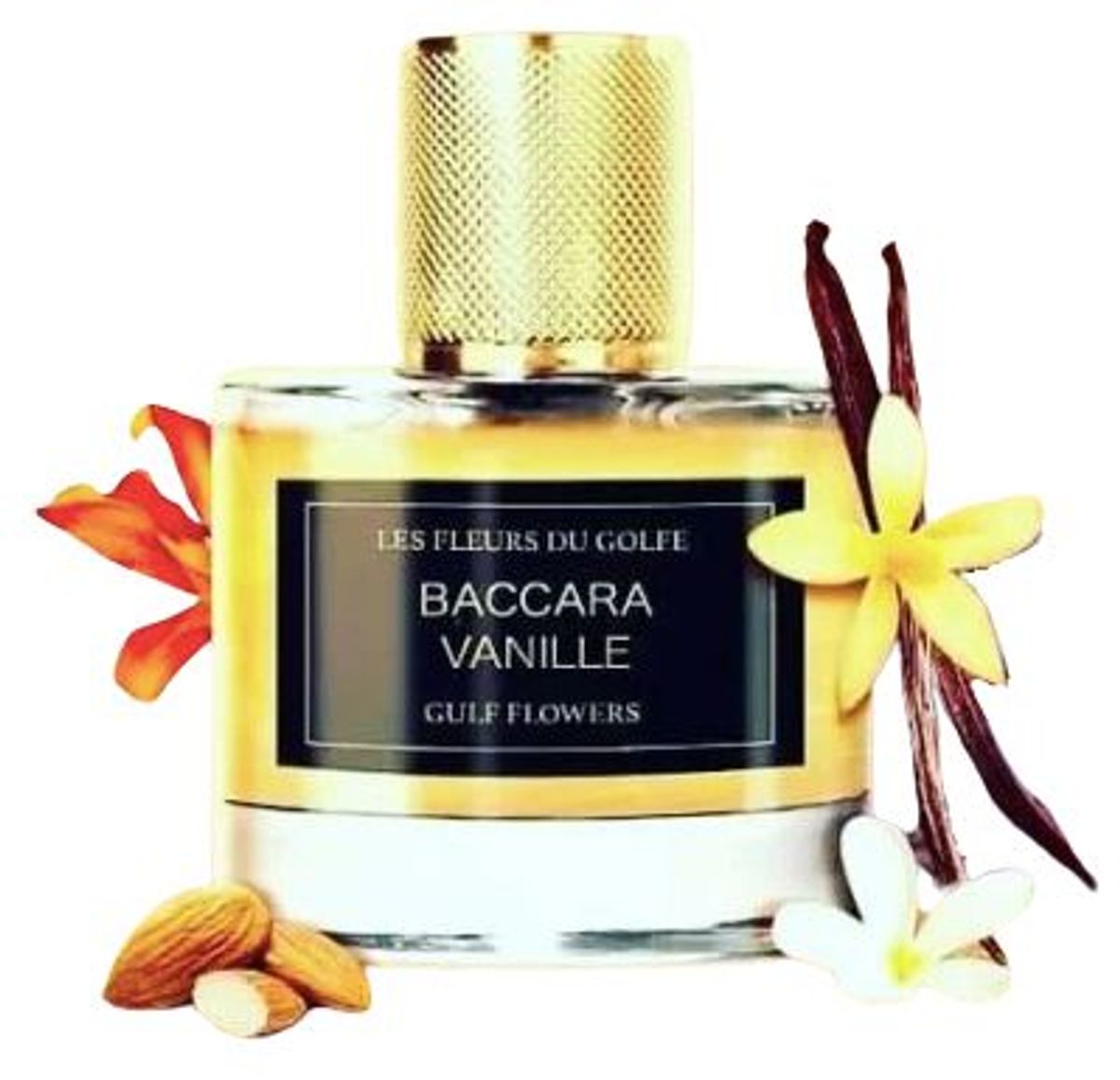Baccara Vanille
