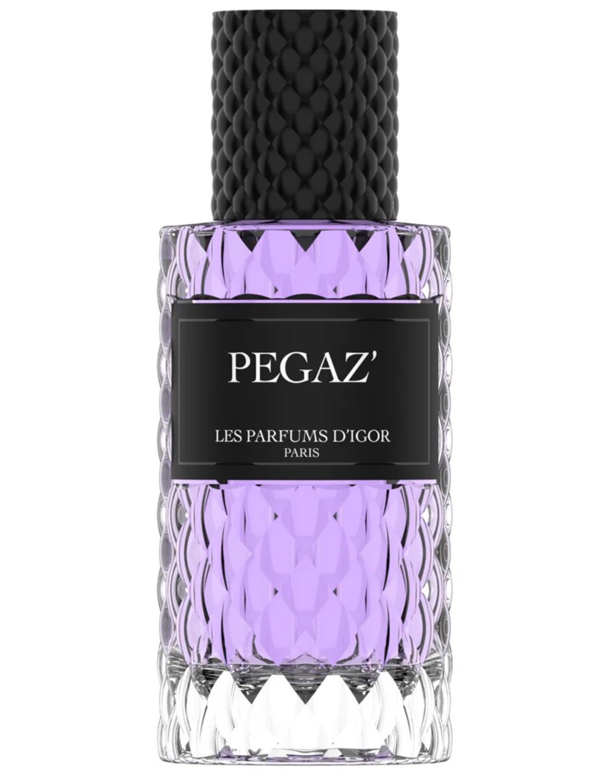 Pegaz'