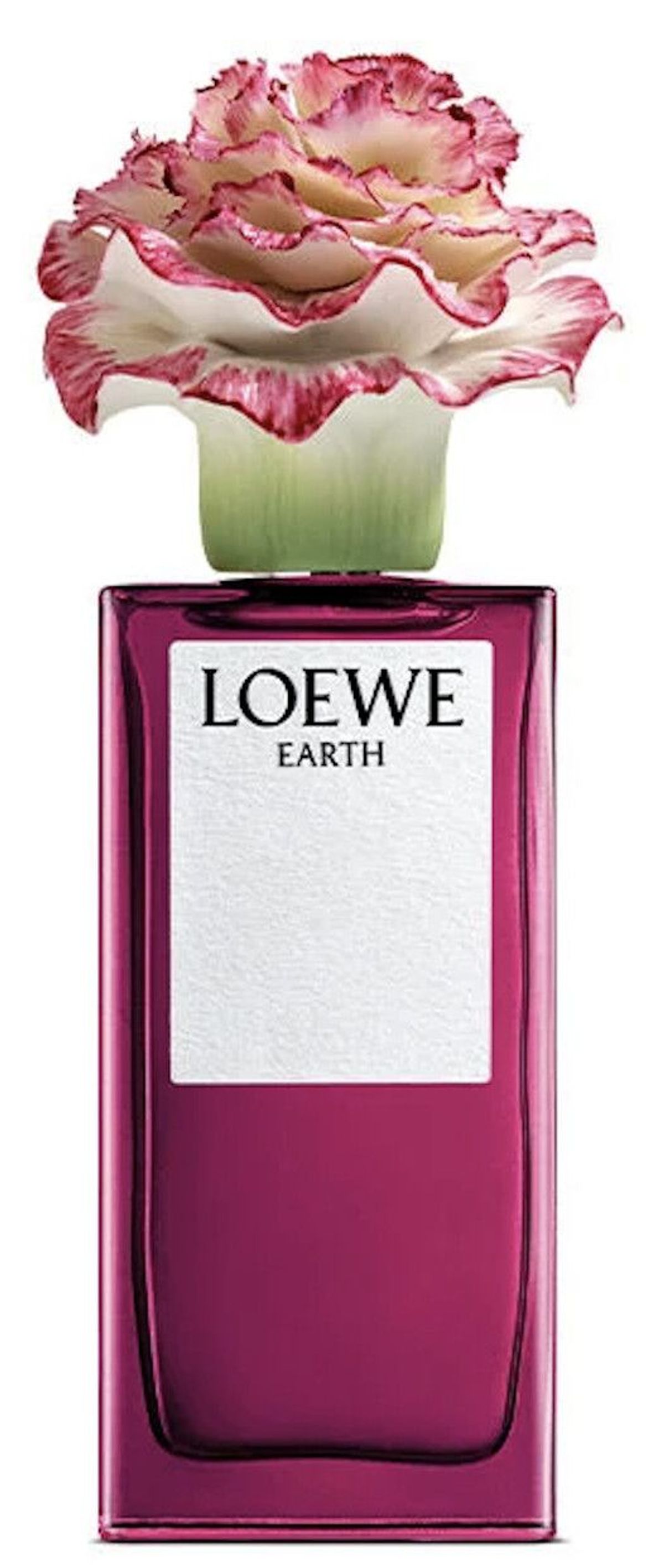 Earth x Lladró