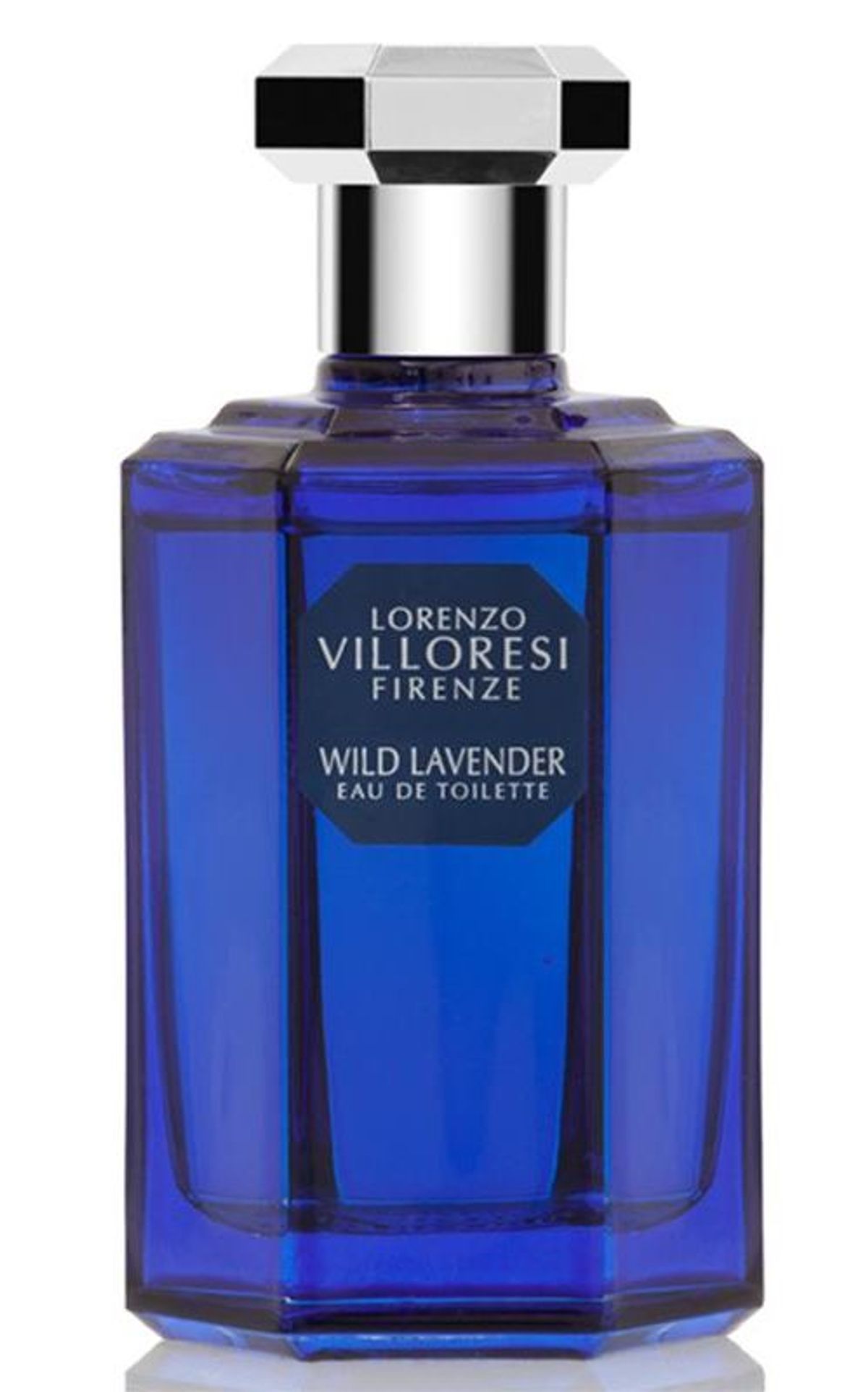 Wild Lavender