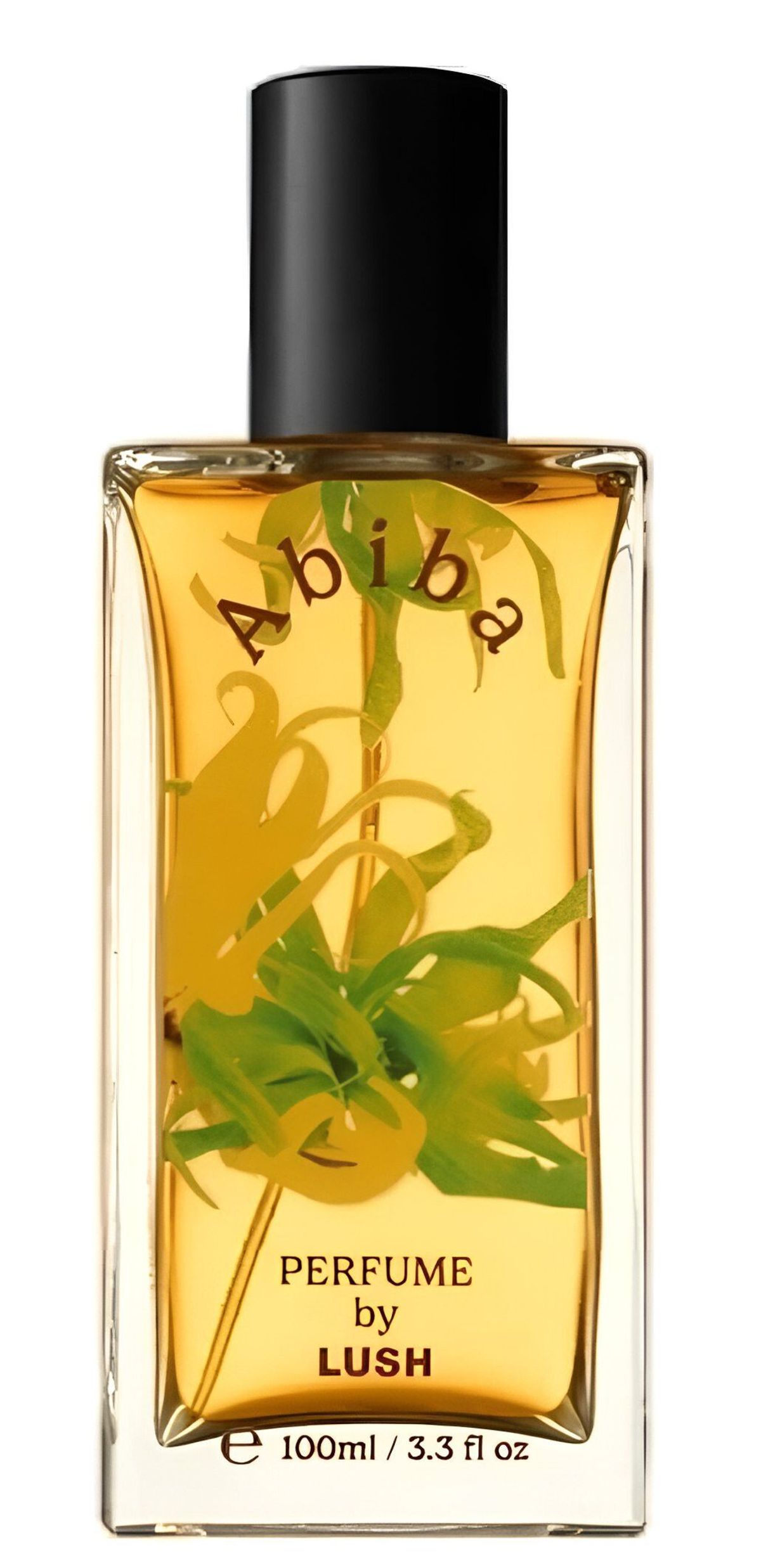 Abiba
