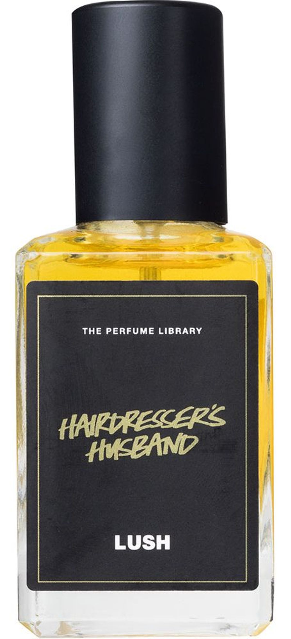 Hairdresser's Husband
