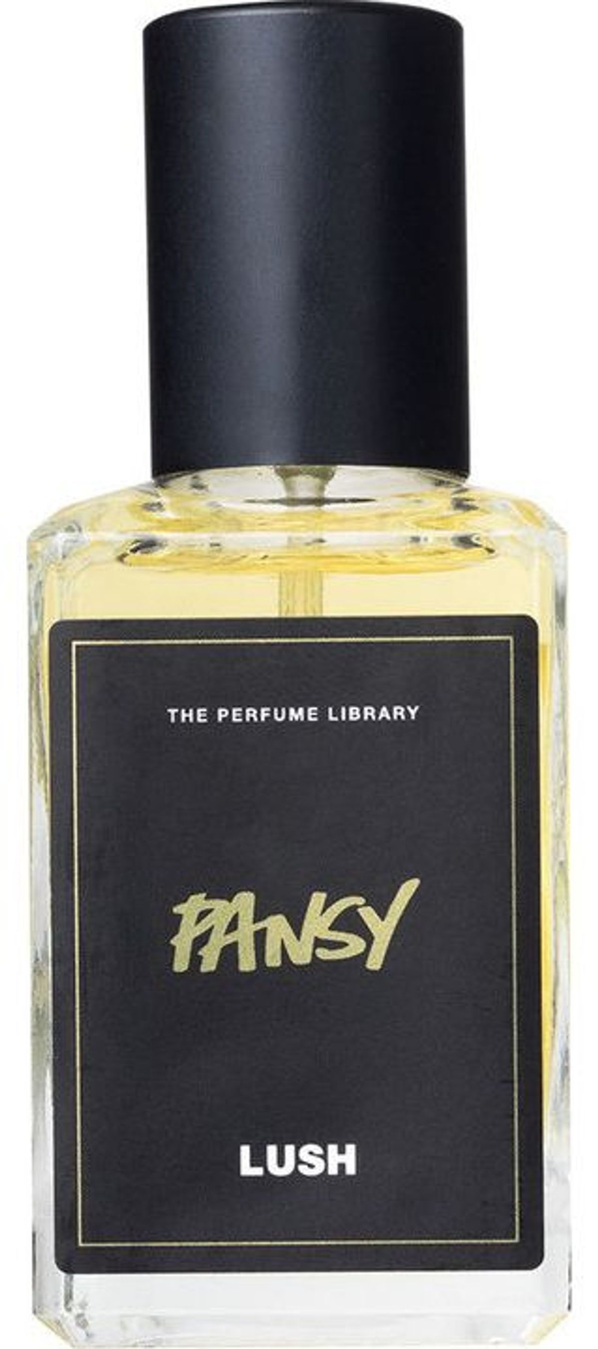 Pansy