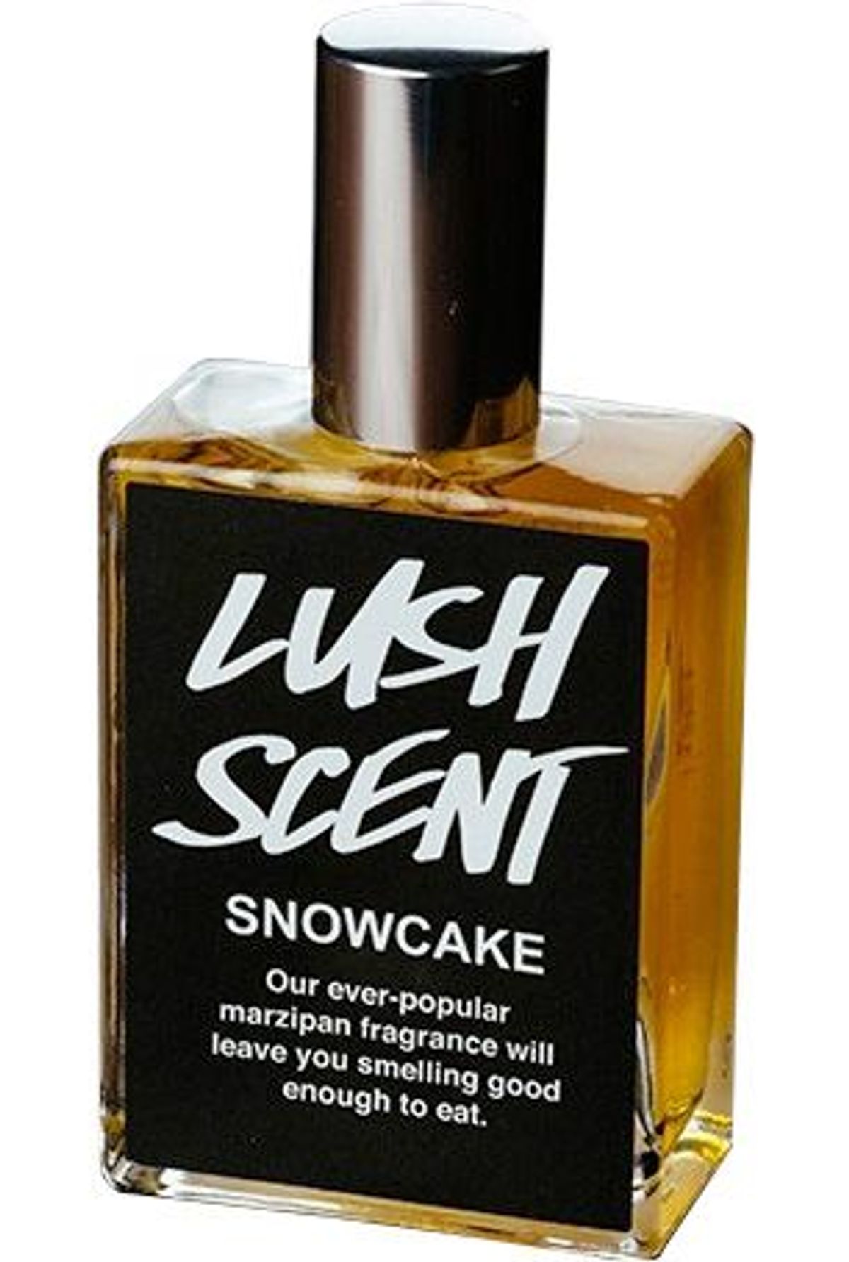 Snowcake 2013