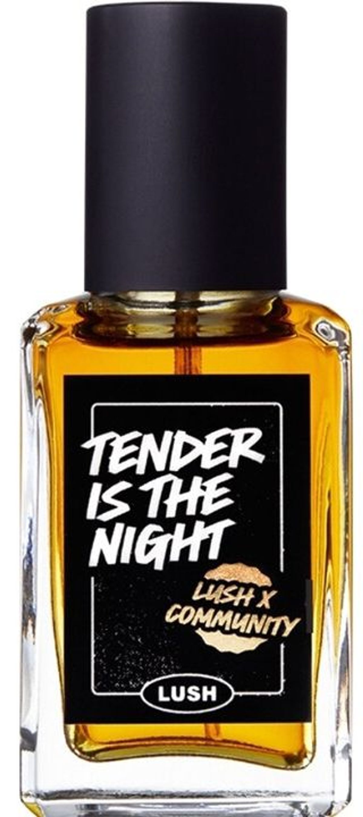 Tender is the Night