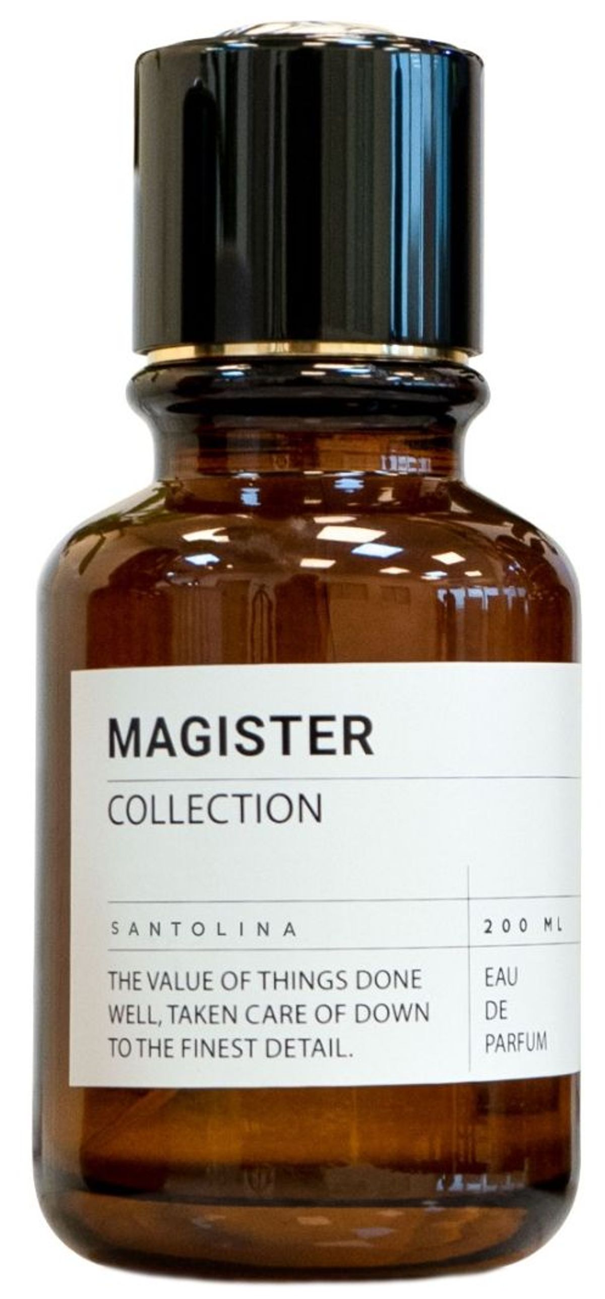 Santolina