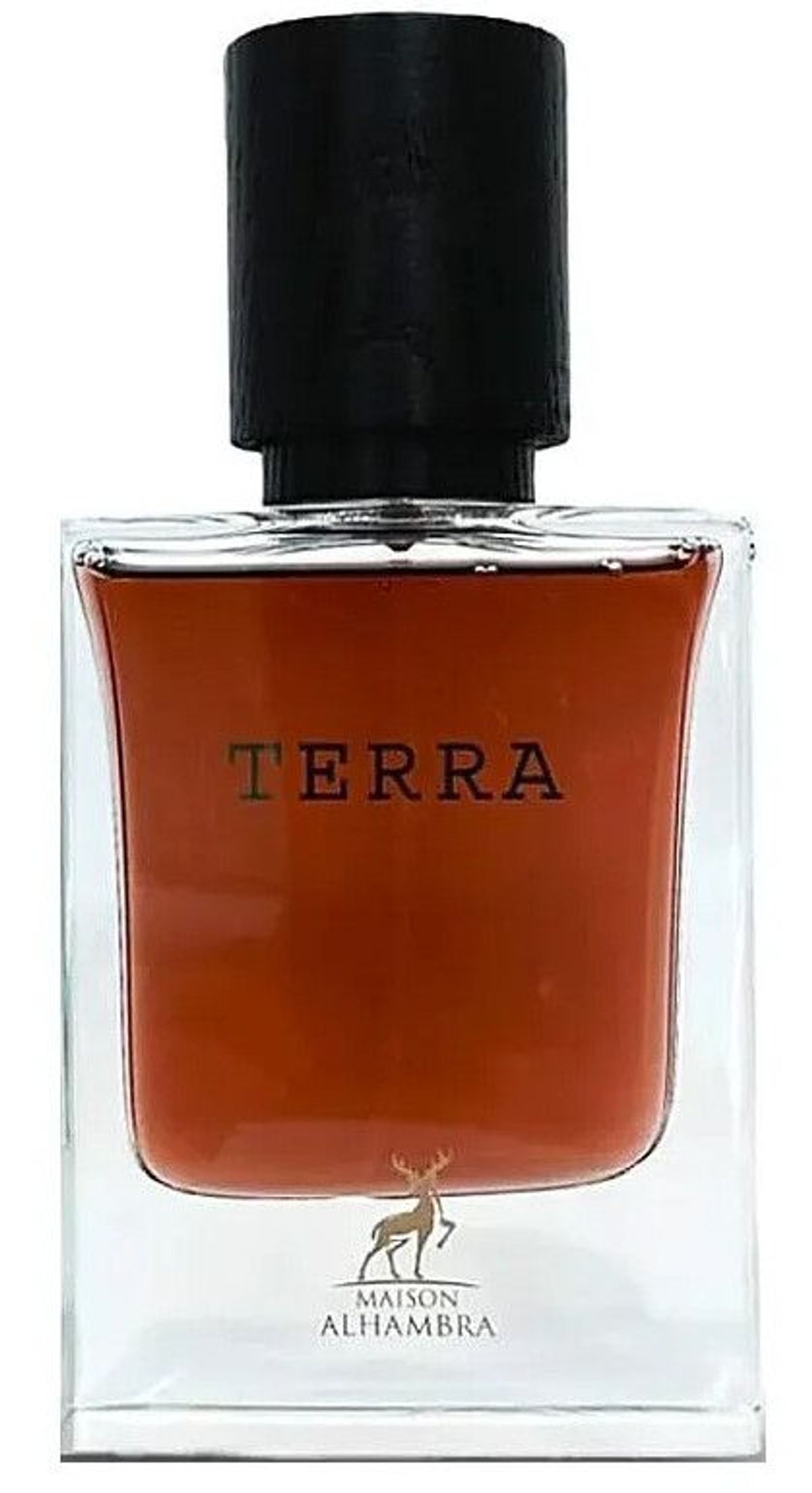Terra